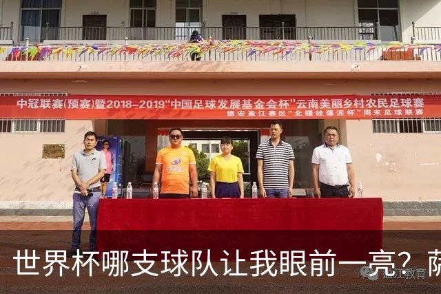 世界杯哪支球队让我眼前一亮？萨内蒂：日本和摩洛哥绝对是代表